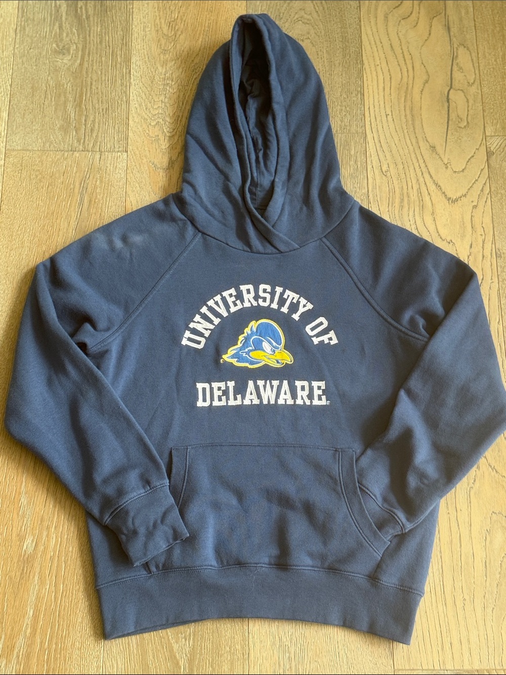 University of Delaware Fighting Hen Patch Embroidered Navy Hooded Pullover Sweat